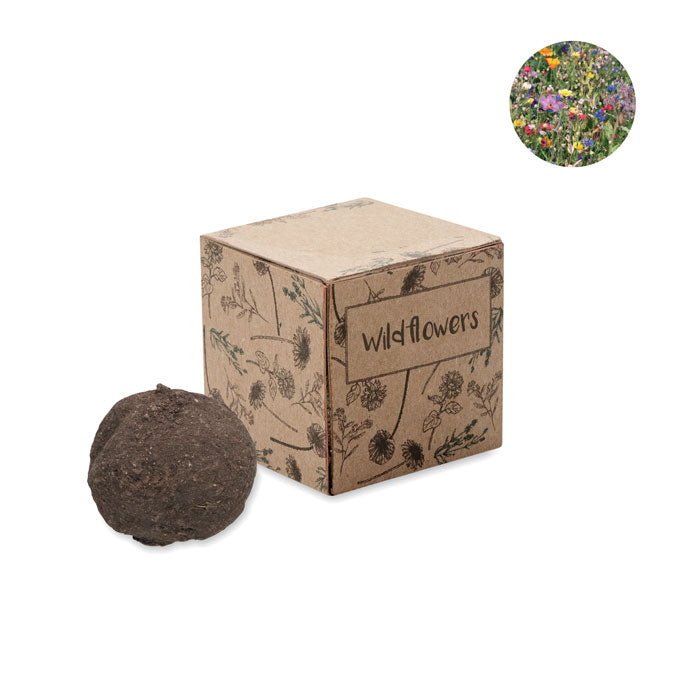 Branded Wildflower Seed Ball Kit without branding