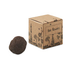 Branded Bee Flower Seed Ball Kit without branding
