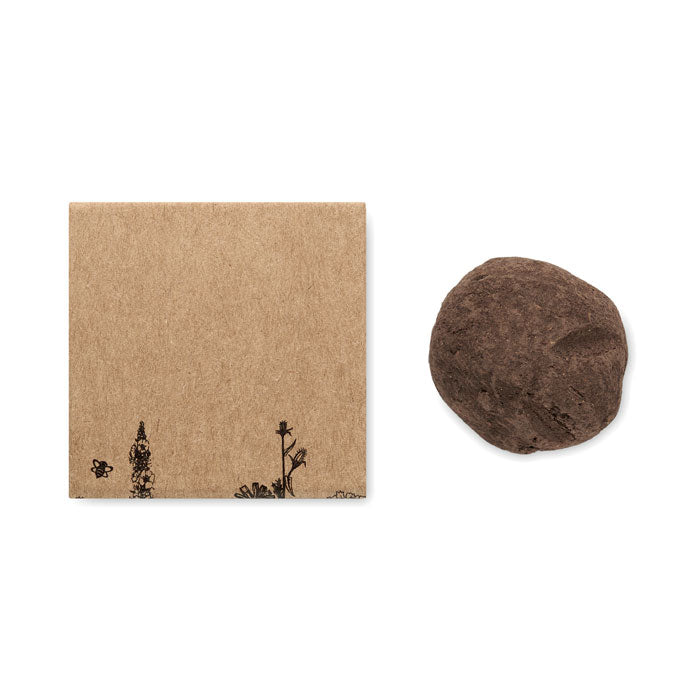 Branded Bee Flower Seed Ball Kit without branding