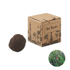 Branded Bee Flower Seed Ball Kit without branding
