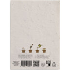 Branded Wildflower Seed Paper Sheet - A6 without branding
