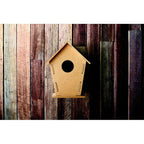 Branded Build Your Own Wooden Bird House in use