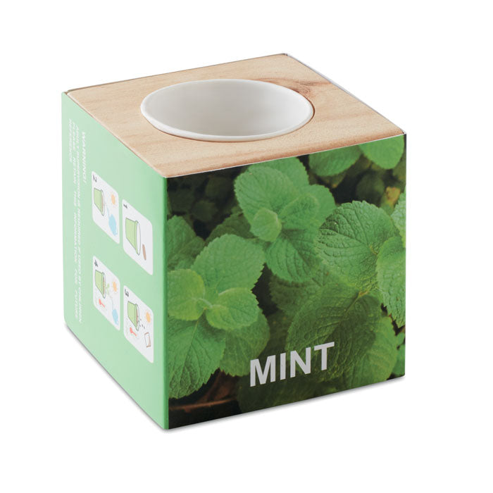 Branded Wooden Herb Pot with Mint Seeds without branding