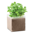 Branded Basil Seed Compost Bag without branding