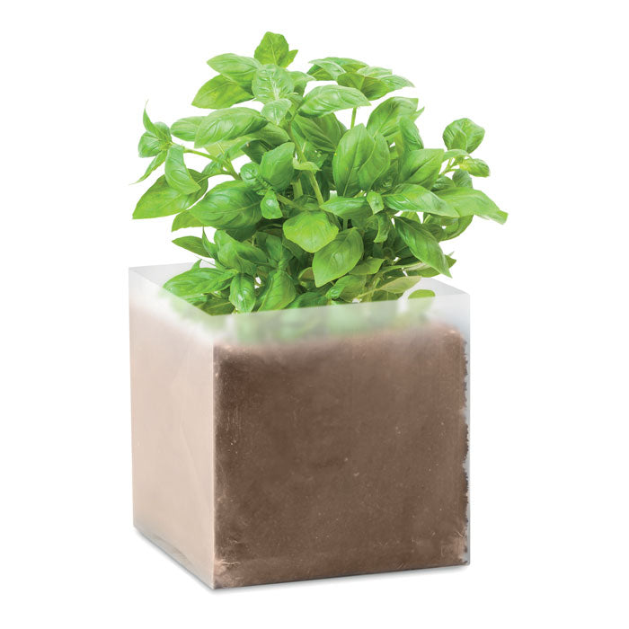 Branded Basil Seed Compost Bag without branding