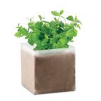 Branded Mint Seed Compost Bag without branding