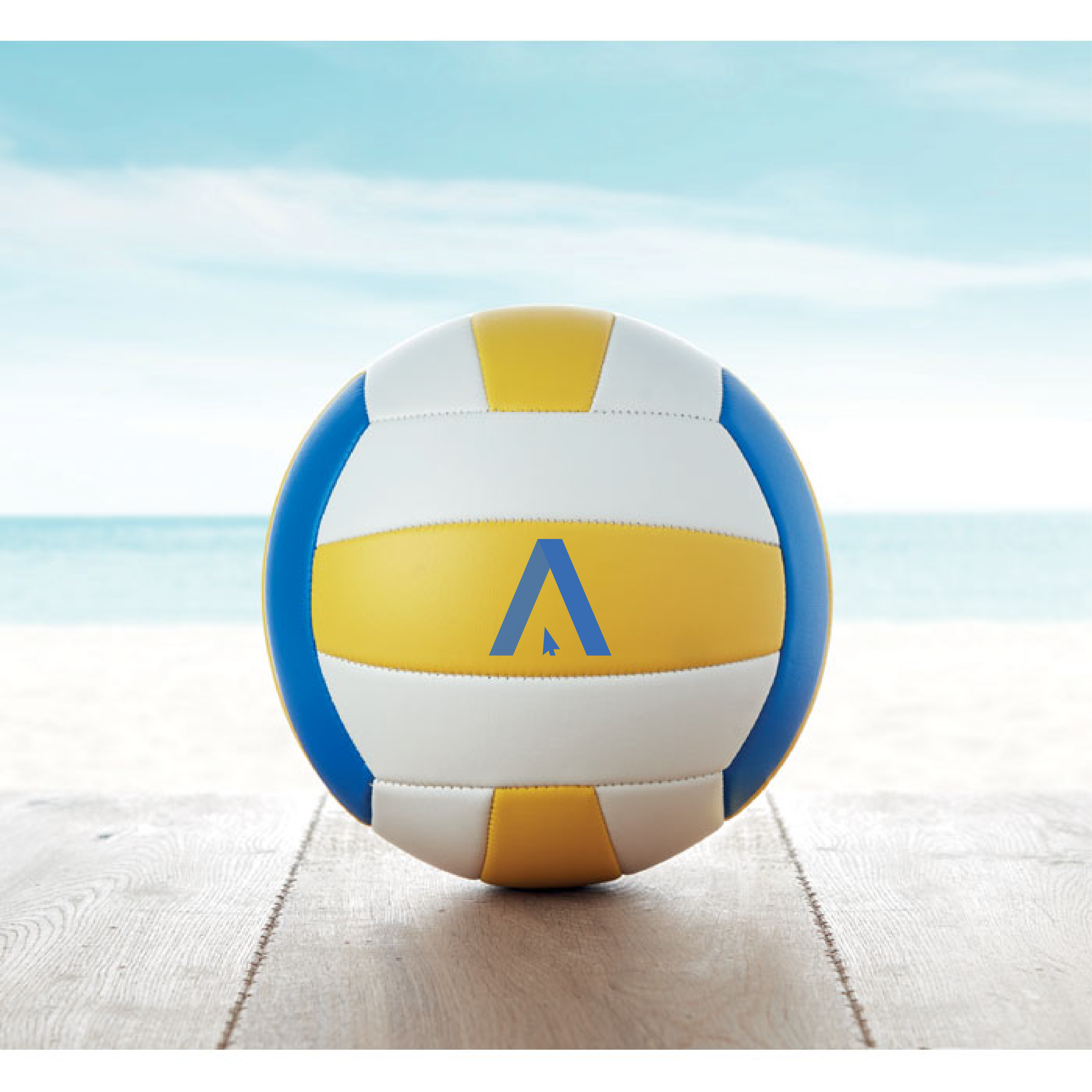 Branded Volley Ball