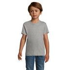 Branded Fitted Kids T-Shirt in Grey