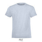 Branded Fitted Kids T-Shirt colour option HS