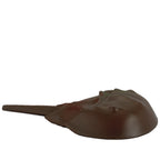 Branded Stingray Stress Toy