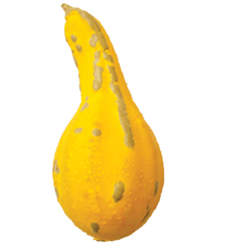 Branded Gourd Stress Toy