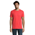 Branded Heavyweight Men's T-Shirt colour option HI