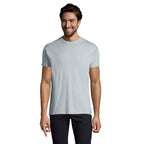 Branded Heavyweight Men's T-Shirt colour option IB